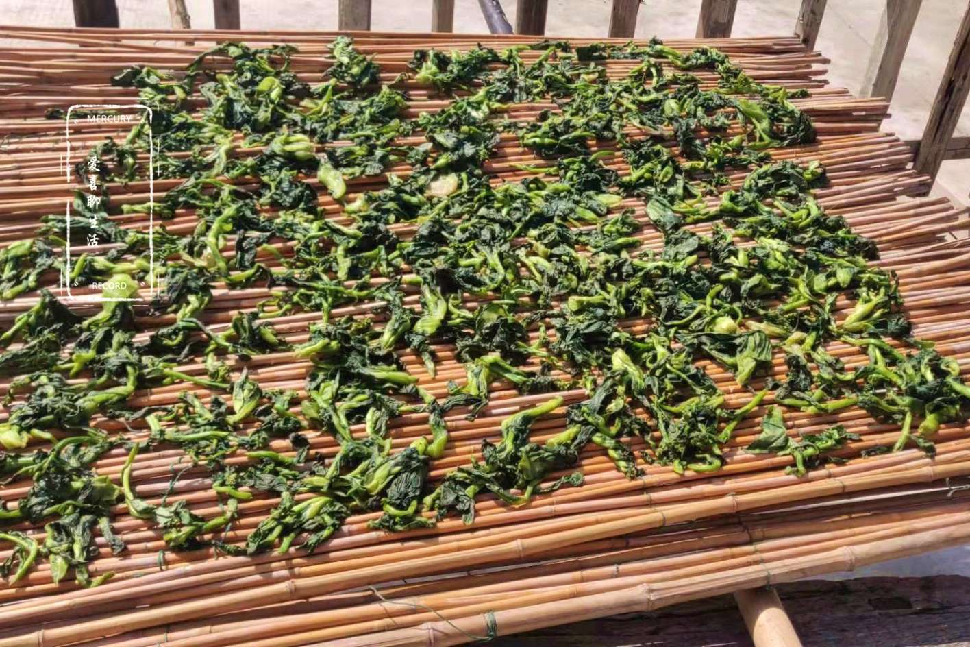 洋姜直接用盐腌制吗,洋姜腌制不脆发软是坏了吗