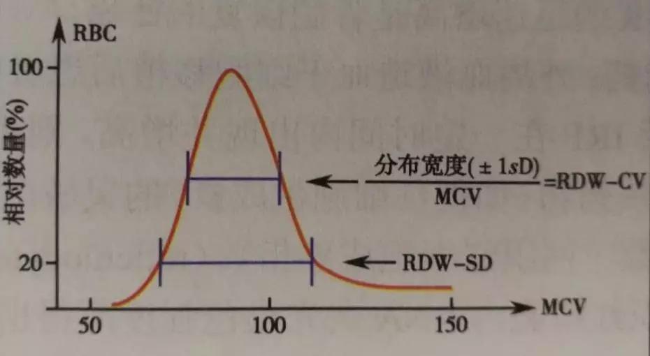 血常规一个指标不合格就紧张,一个血常规的级别