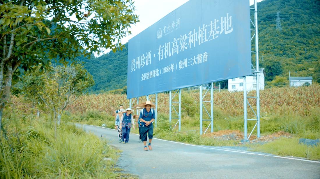 珍酒酱香型十大排名,珍酒与酱香经典