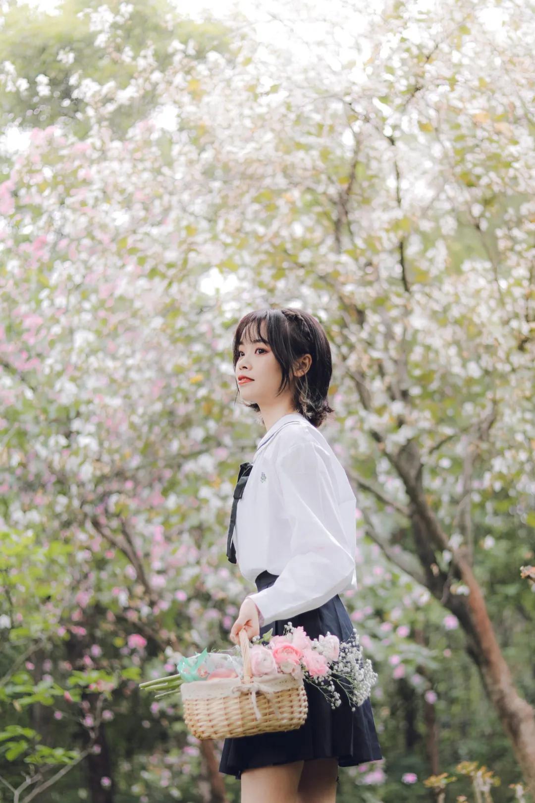 明治白桃乌龙雪糕盒装多少钱,明治雪糕最新款