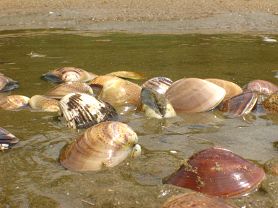 珠海最值得去的旅游景点推荐图片,珠海旅游必去的4个景点是哪里