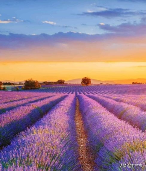 遇见·预见|开眼界！大广州下冰雹；国内油价将4连涨