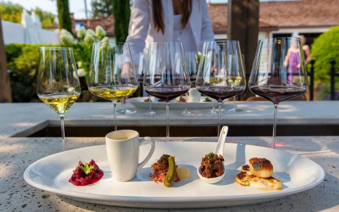 葡萄酒必备技巧,葡萄酒知识的收获总结怎么写好