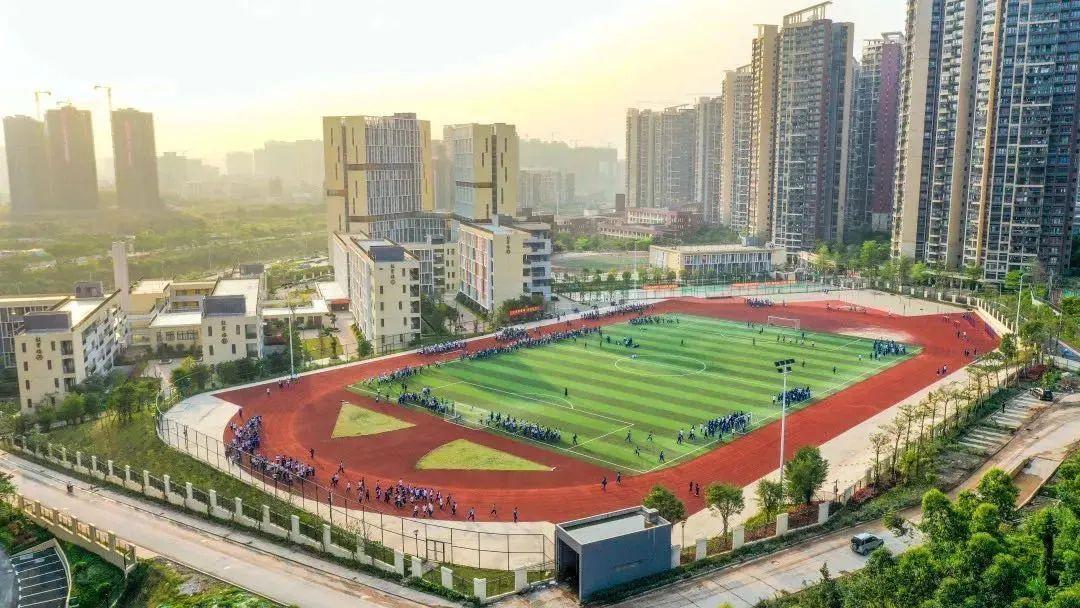 10多分钟到深圳、家门口上华附？14号线热盘深圳客占7成