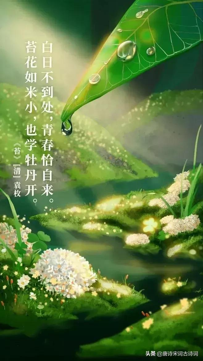 感慨人生艰难的诗句,感慨生活不易但励志的诗词