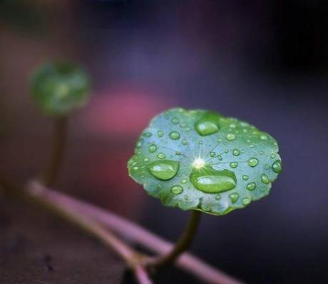 穷不走亲富不还乡自己要看清楚,穷不走亲富不还乡老话说的有道理