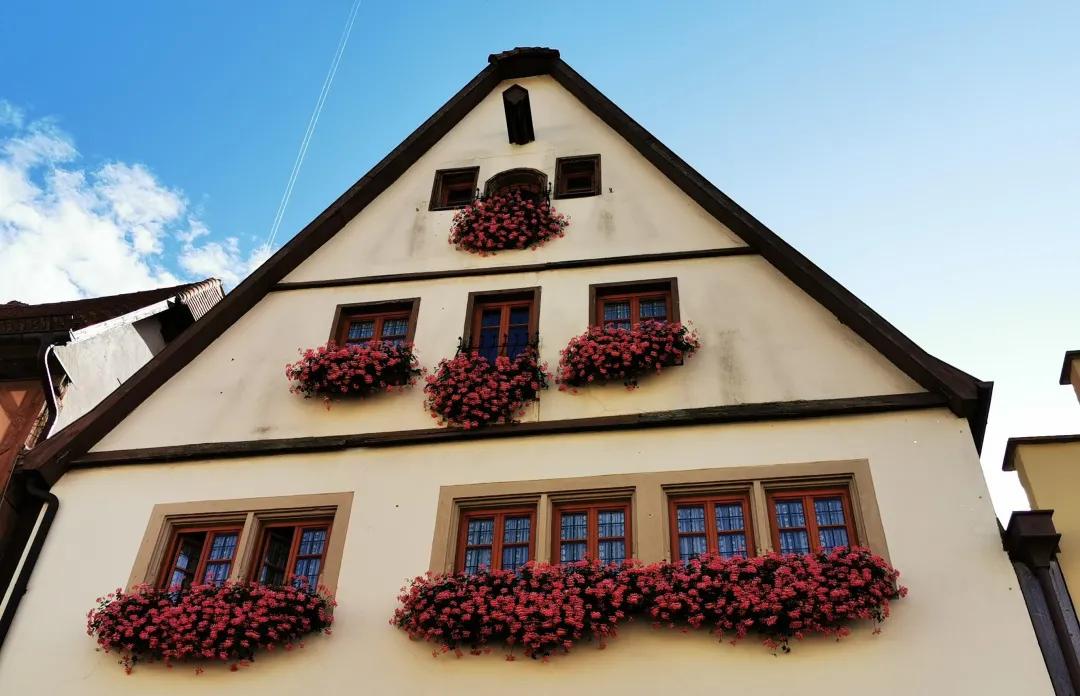 东北花园四季开花植物,北方一年四季都开花的花园