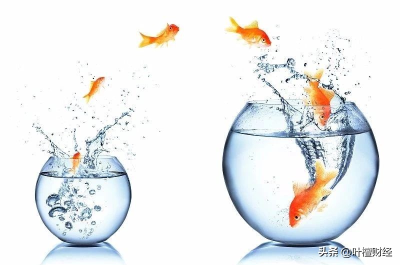 叶檀谈去年货币超发了多少,叶檀谈当前经济形势