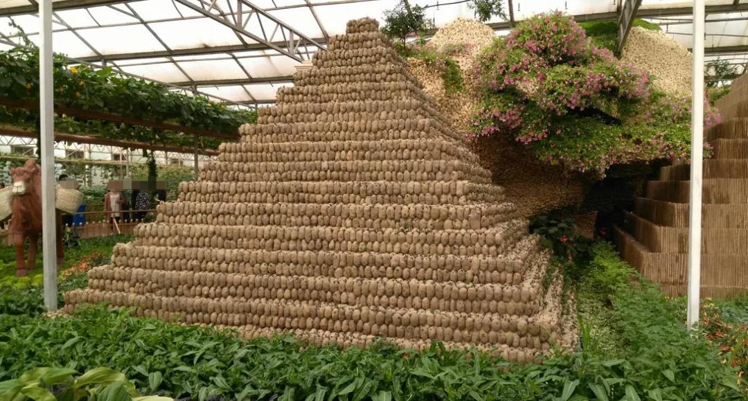 到山东不会饿着你,到山东怎么能不吃煎饼和大馒头呢