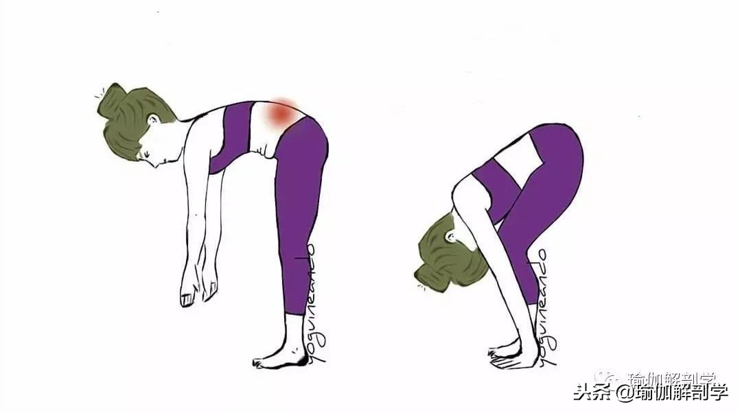 瑜伽基础体式初学者,100个基础体式图