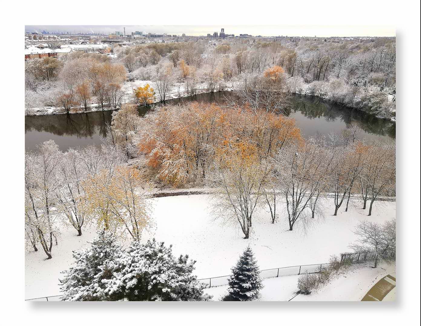 我的间隔年，在疫情期间被困异国他乡后，发生了过山车的转变