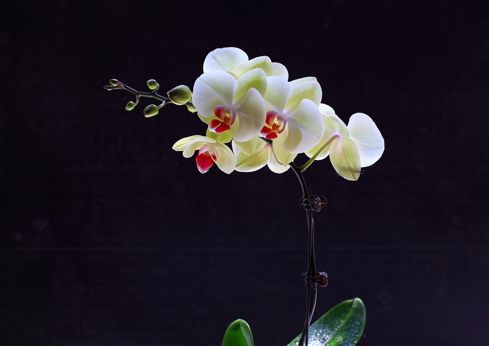 缺爱缺安全感的人如何自愈,从小缺爱的女人治愈的方法