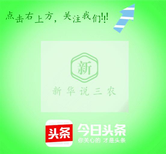 接产要领及接产步骤,助产催产方法