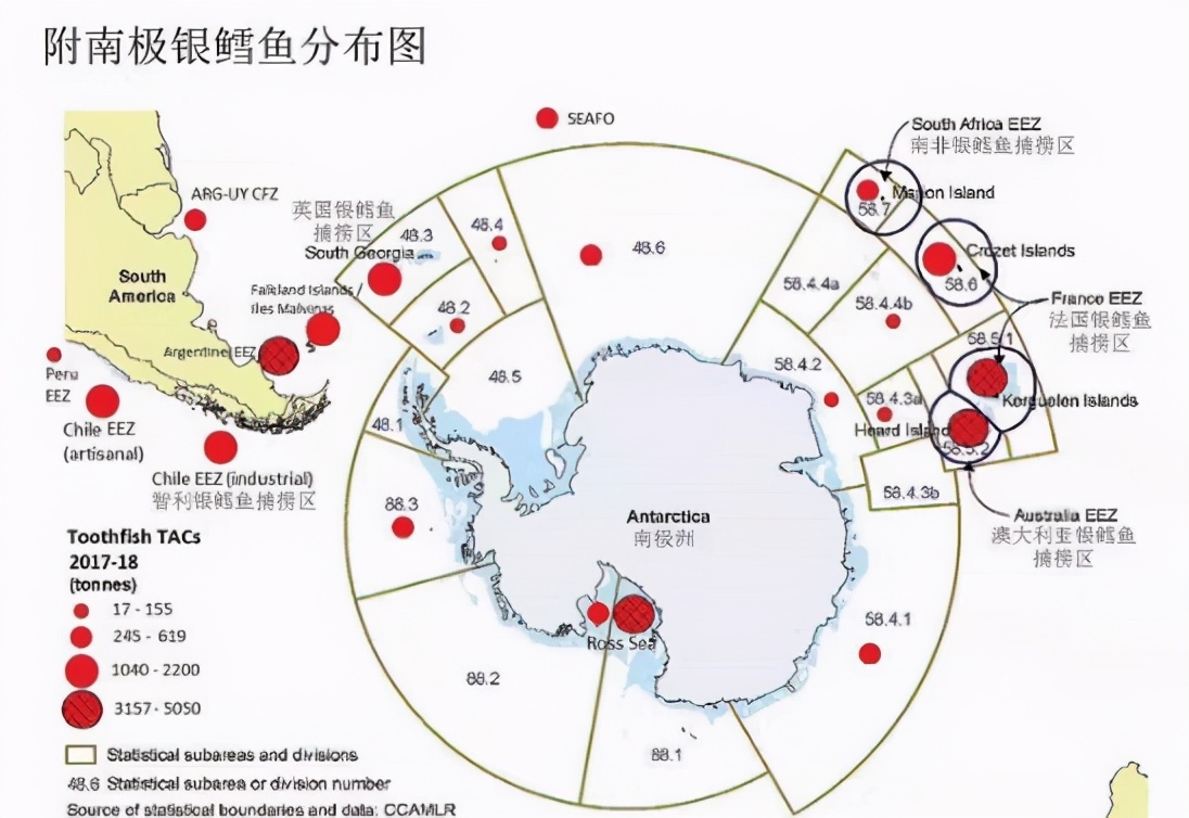 这种鱼真不能给娃娃多吃,这种鱼真的不能给娃多吃