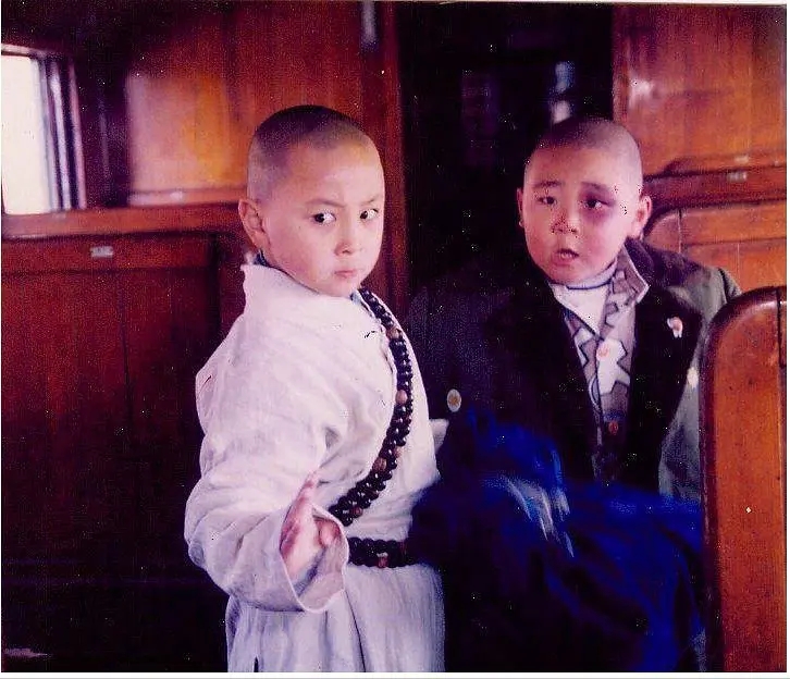 释小龙票房多少,释小龙新电影评价