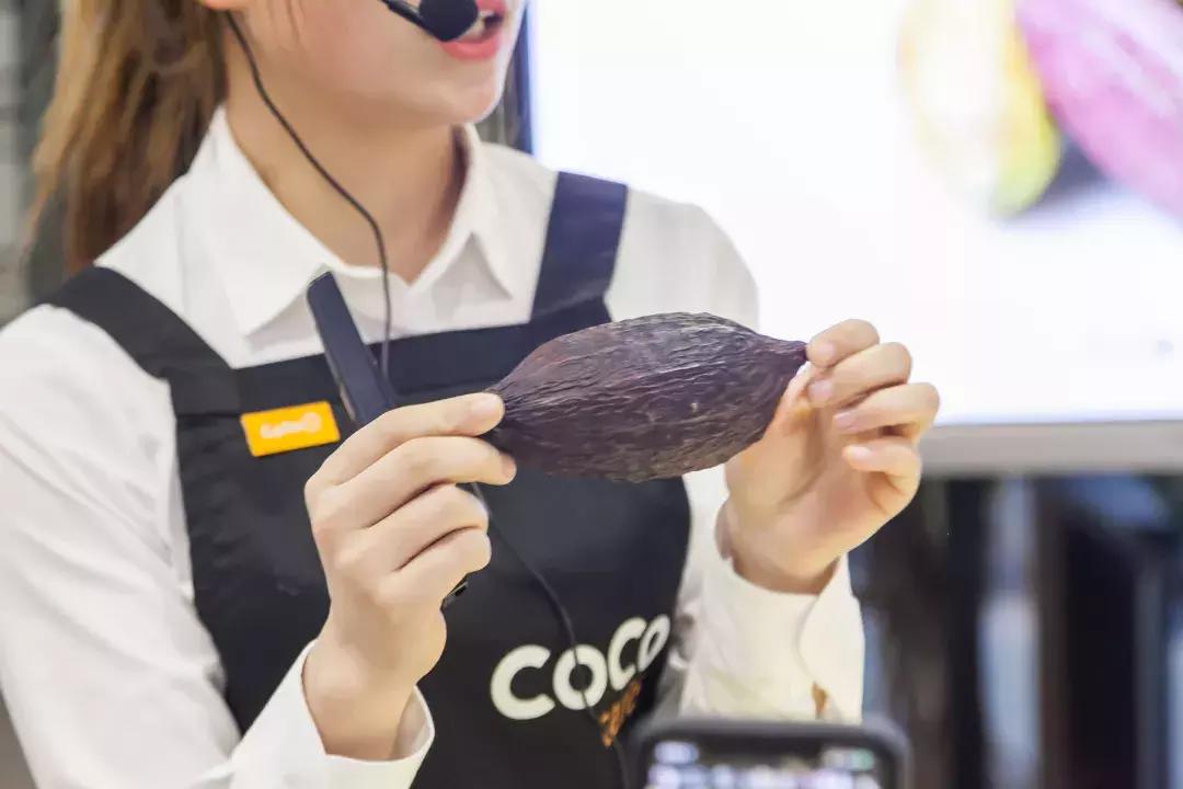 coco神秘新品是啥,coco新品隐藏款