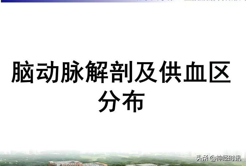 脑动脉解剖学讲解,基底节区脑血管解剖