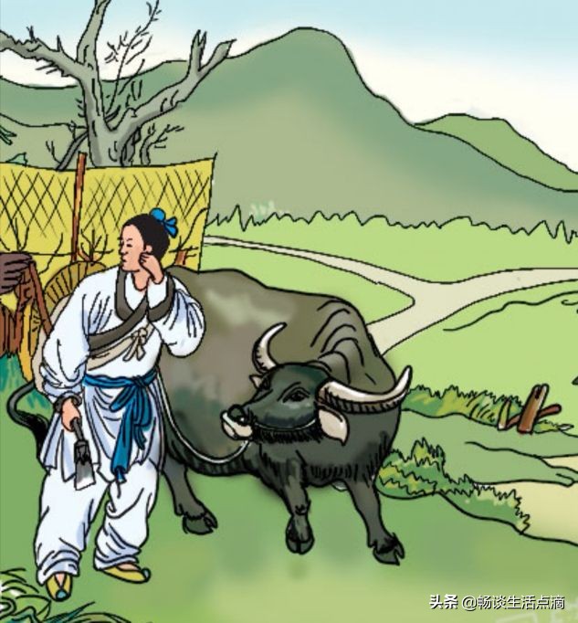 7月初7牛郎和织女的故事,七月七牛郎和织女相见传说