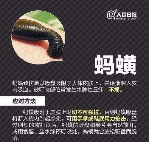 虫子叮咬引发疾病,虫子叮咬会得什么病