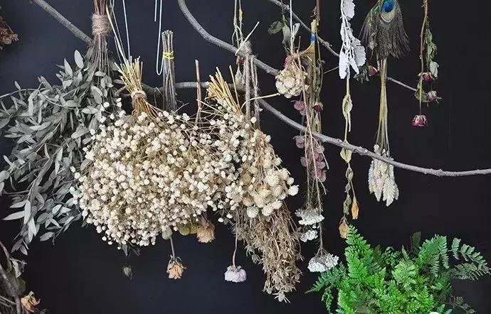 8种能做干花的鲜花，男朋友送的花就这么做