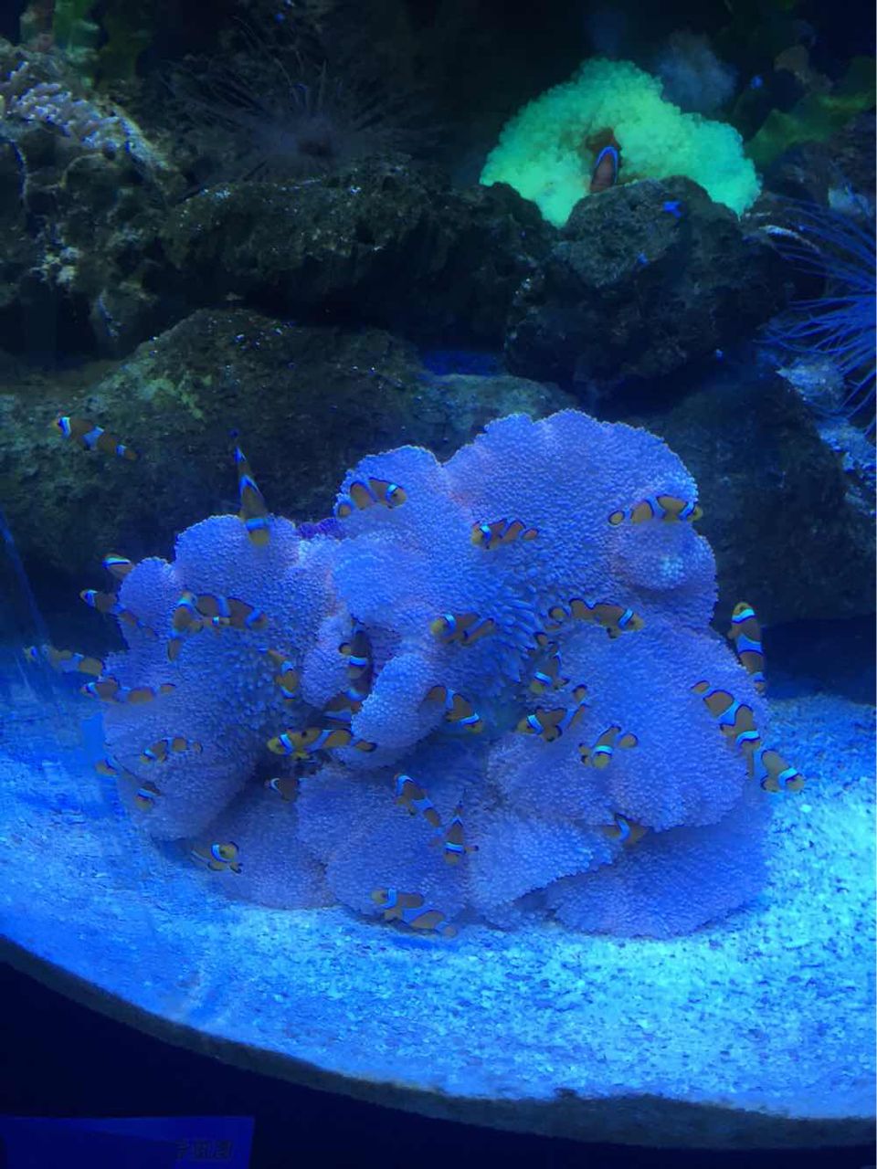 北京工体富国海底世界周一营业,北京工体富国海底世界旅馆