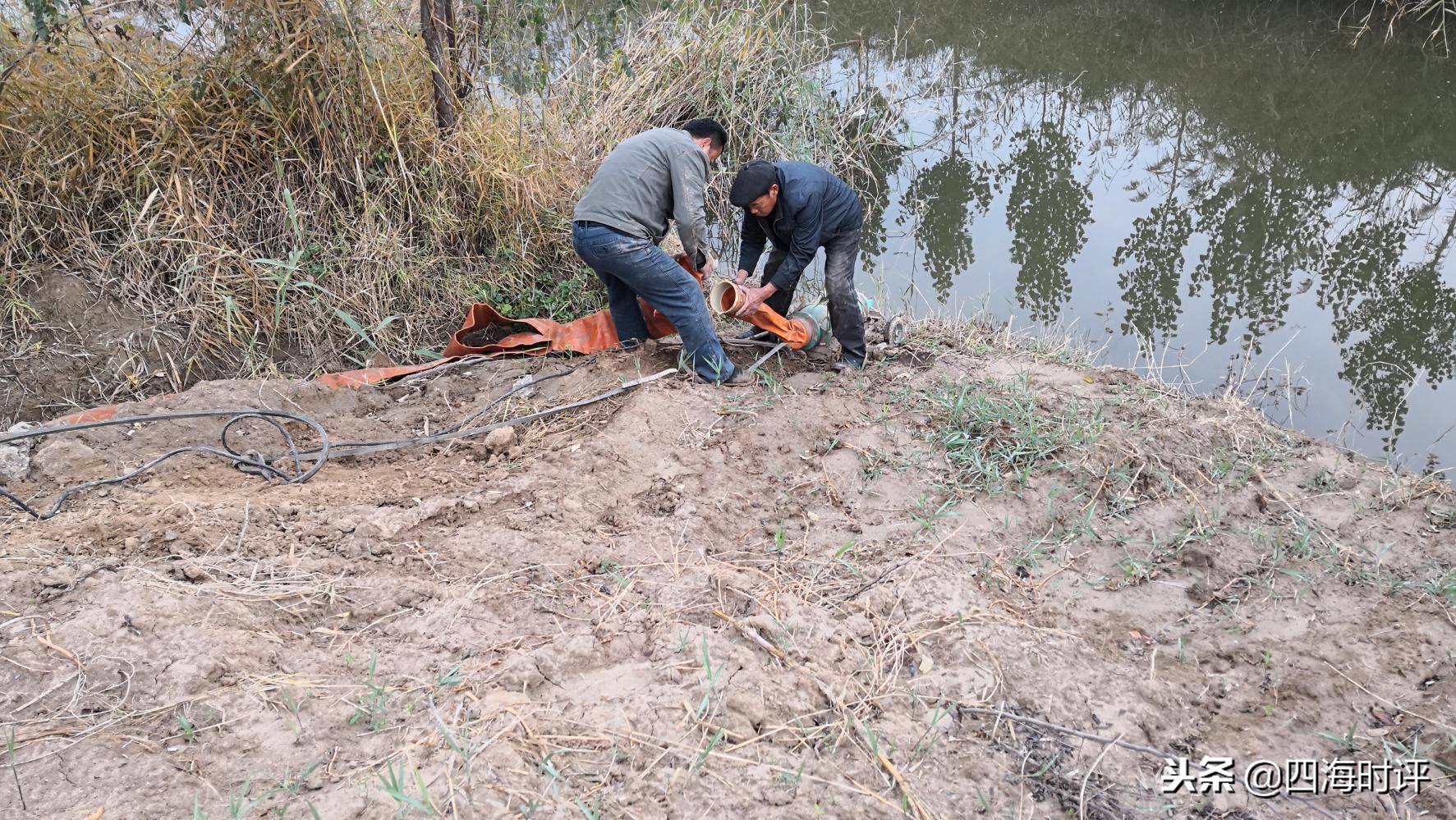 小麦浇地时间表,什么情况下小麦该浇地了