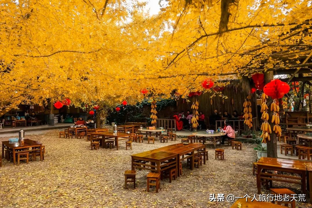 这才是12月最值得去的旅行地,11月12月去哪里旅游最美