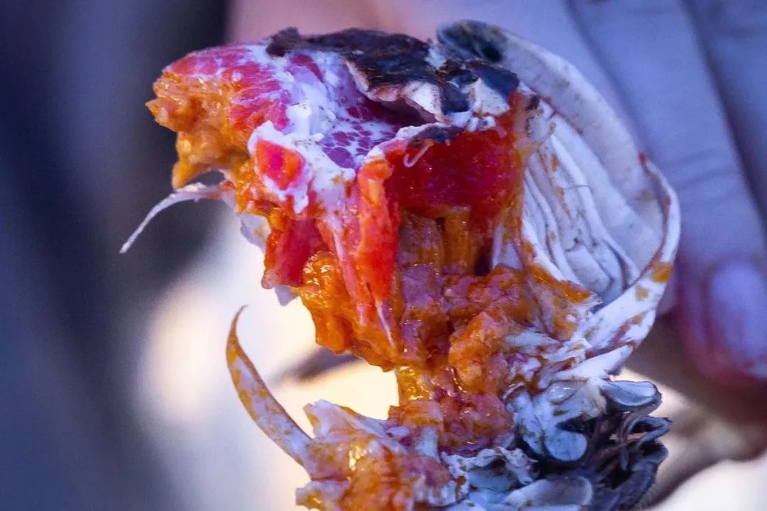 常熟大闸蟹和阳澄湖大闸蟹,沙家浜大闸蟹是阳澄湖大闸蟹吗