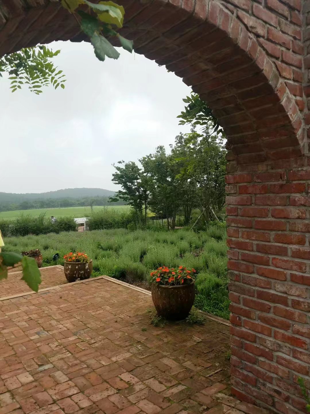 济州岛万丈窟旅游攻略,济州岛万丈窟