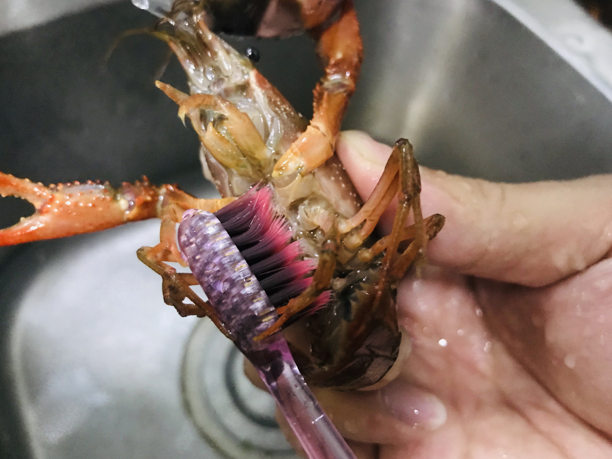 买小龙虾青的好还是红的好,买小龙虾划算还是海虾划算