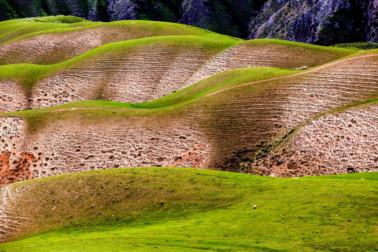新疆旅行摄影攻略伊犁,伊犁草原摄影团