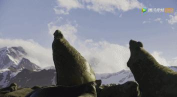 炸裂9.9，BBC再出神片，美得让人脸红