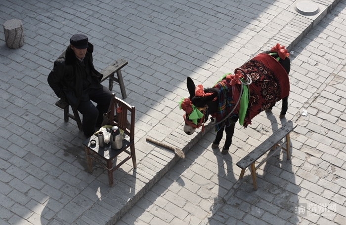 滨州摄影师吕维君：用心感受每一次快门的灵动