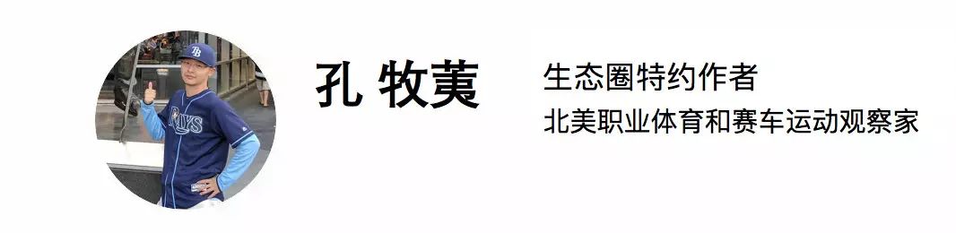 鏃ユ湰妫掔悆杞細鍒跺害,妫掔悆鑱旂洘杞細