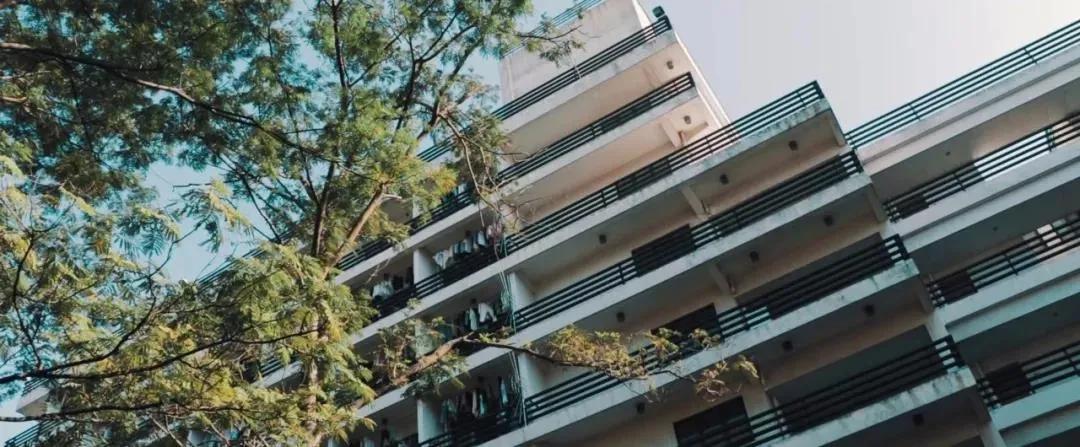 九大美院校园风景,中国九大美院校园风采