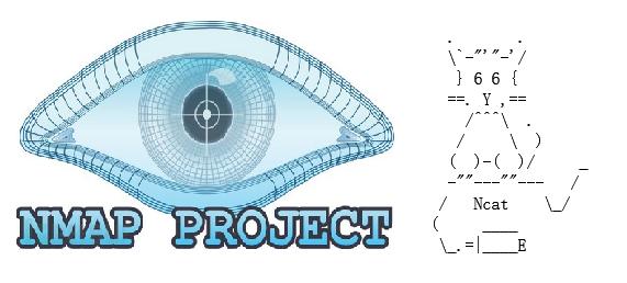 安全扫描功能的扫码软件,app安全扫描工具