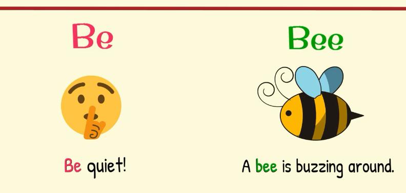 英语词汇高频近义词辨析,英语同音同形异义词概念
