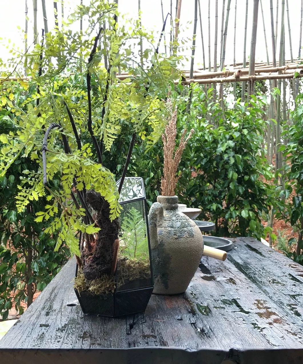 各种风格别墅庭院,这才是别墅