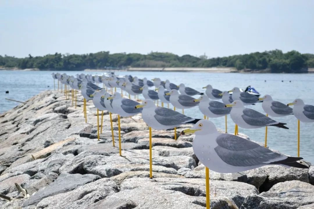 日本名古屋有什么好吃的,名古屋美食大起底