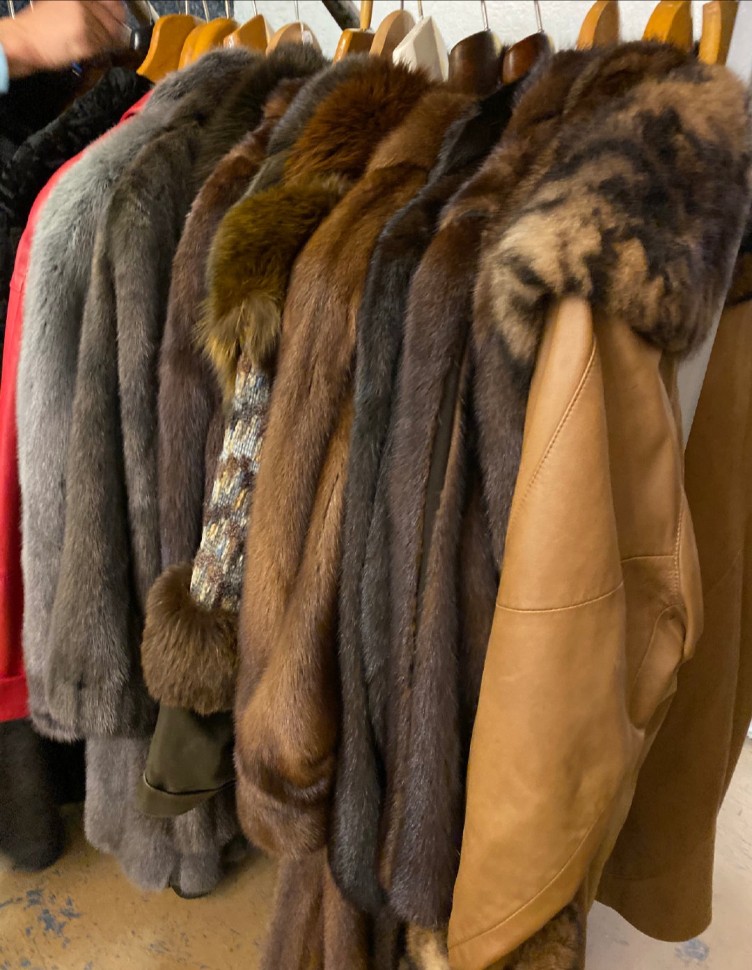 墨墨春晓带你看德国：洗衣机也能进拍卖行