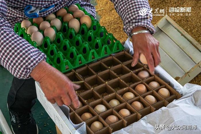 1元微力量捐款到武汉｜30枚爱心鲜鸡蛋26.8元，顺丰包邮到家