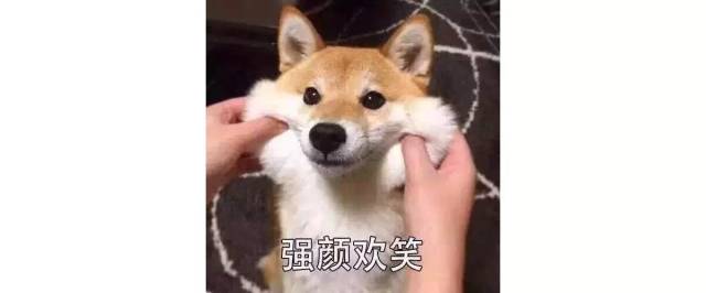 适合新人职场背的包,职场背哪种奢侈包