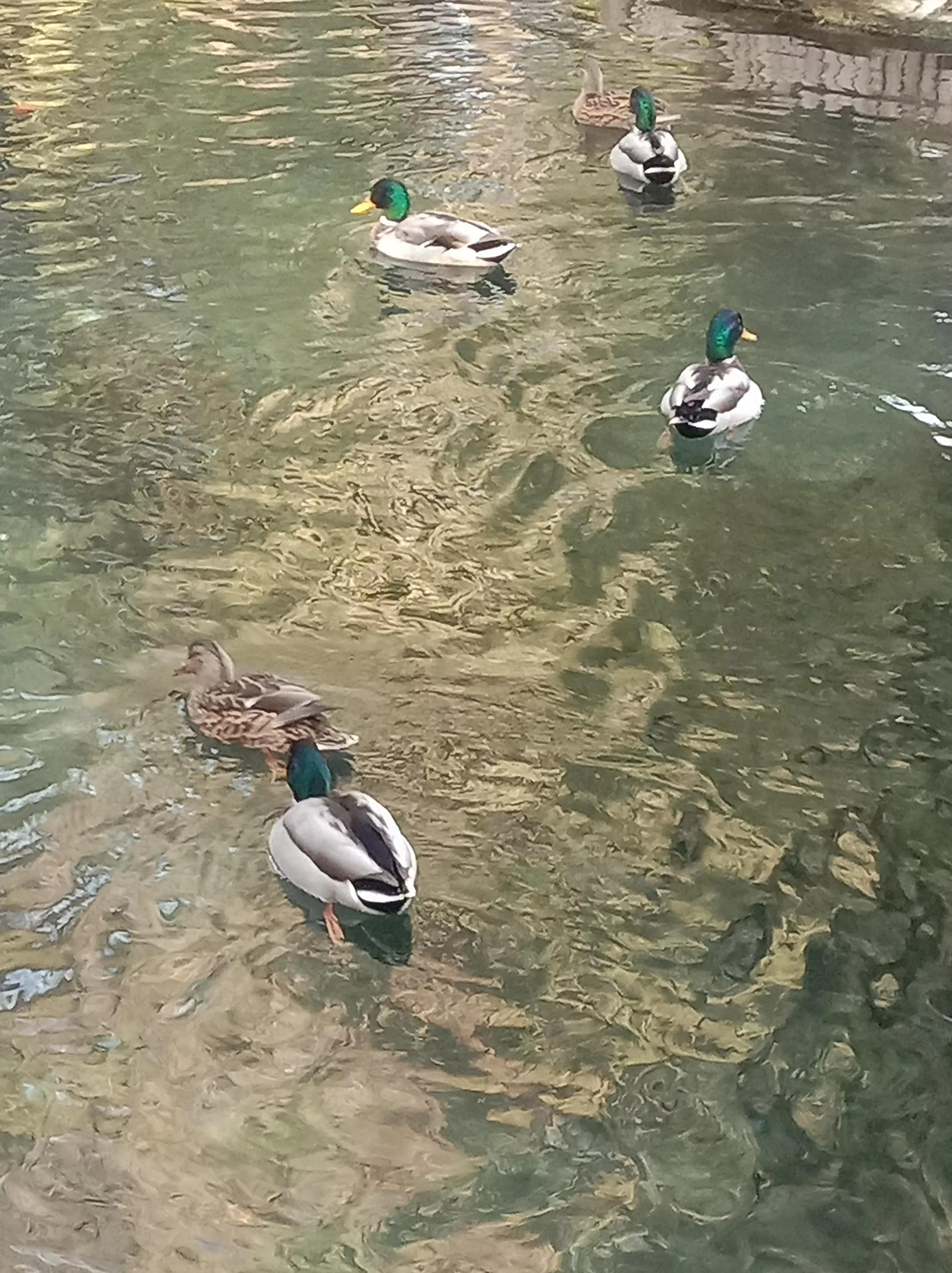 水磨沟公园简介,水磨沟公园作文