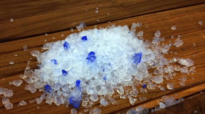 如何教英短蓝猫用猫砂,新手养猫什么猫砂比较好