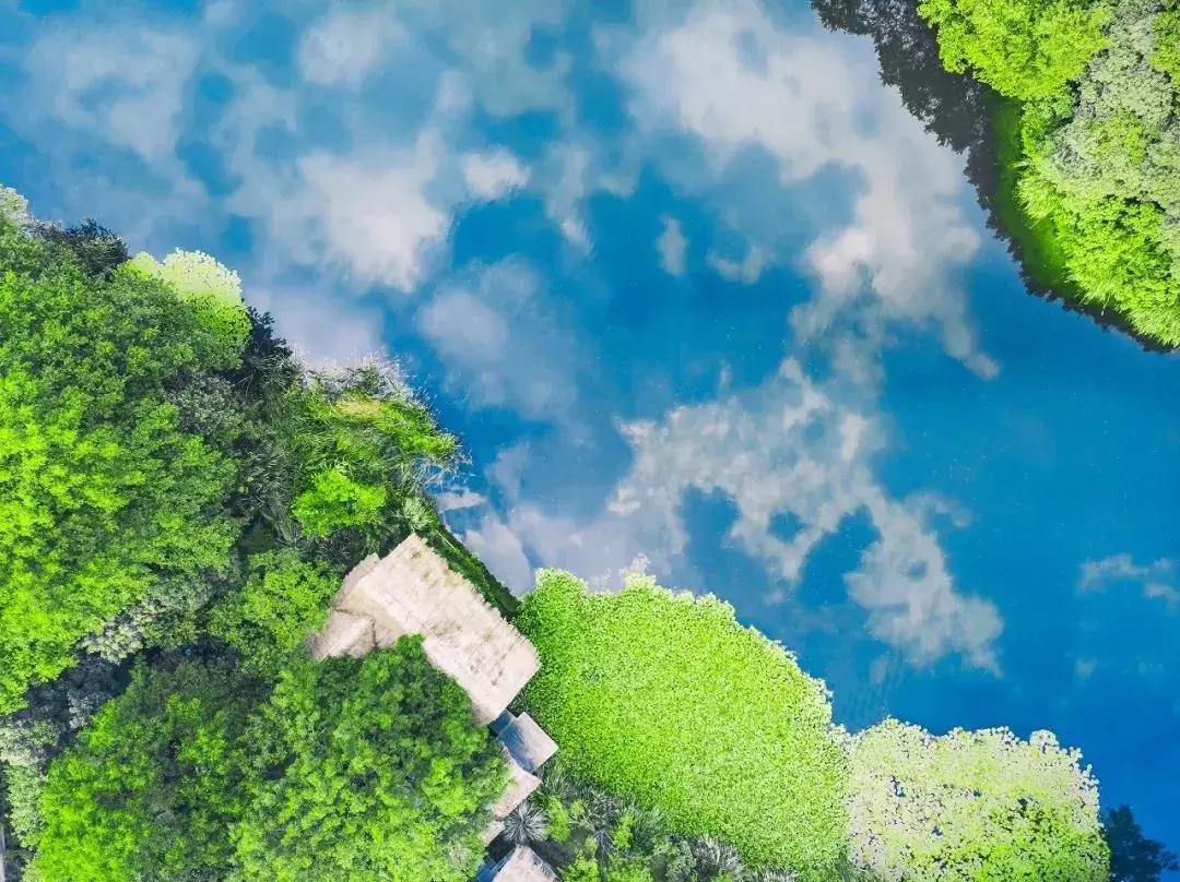 杭州哪里有碧桂园,碧桂园浙江巡礼