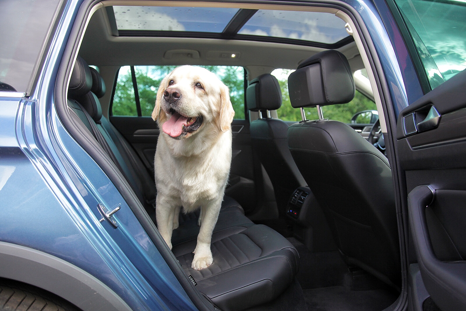 林林go视频,林林go自驾游