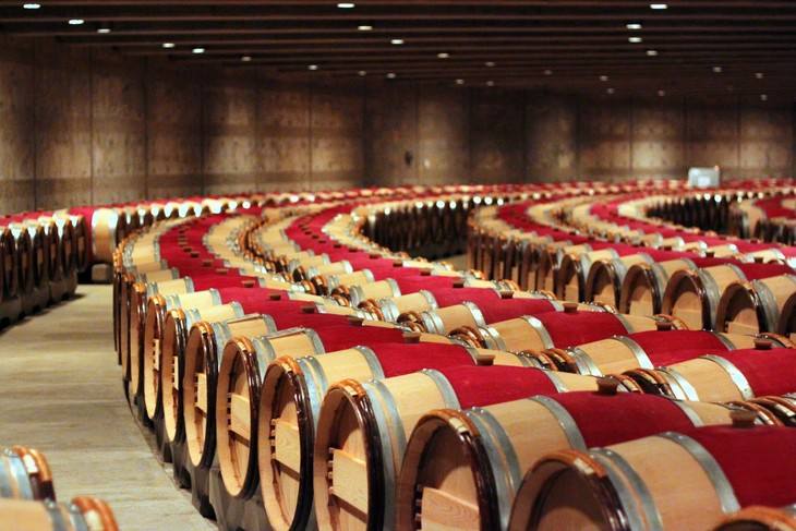 opusone法国销售,opusone