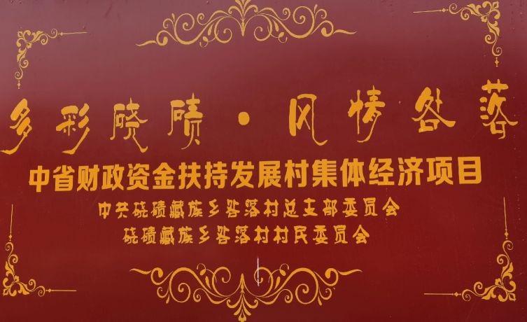 发展壮大村集体经济的重大意义,本村发展壮大村集体经济的思路