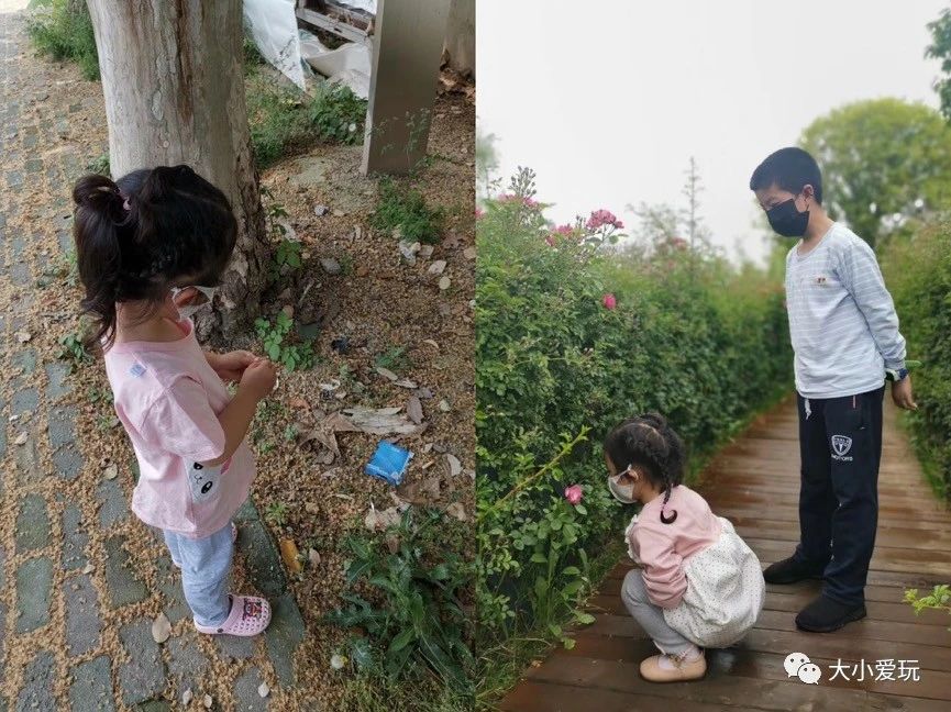 快让爱玩虫子的女儿逼疯了!孩子喜欢“恶心“的小动物怎么破