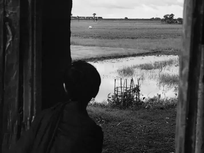 雷伊：大地、河流和树，他记录了孟加拉乡土里的真实|巨匠